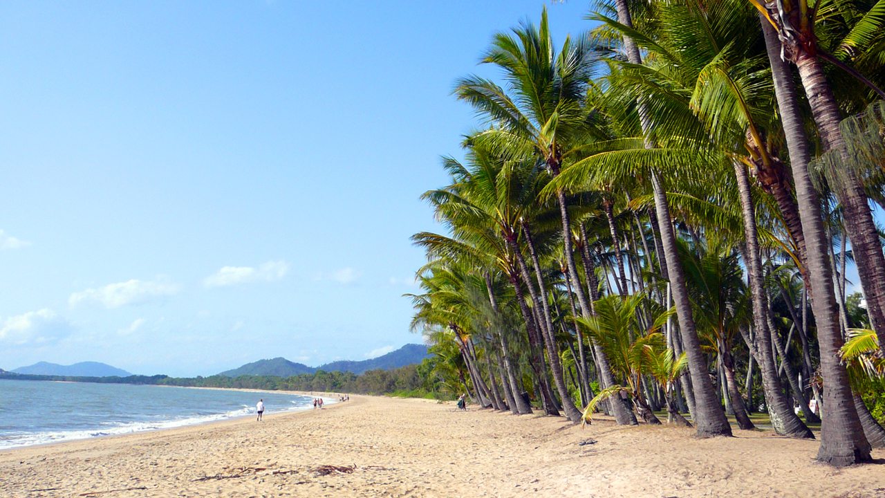 Study in Cairns