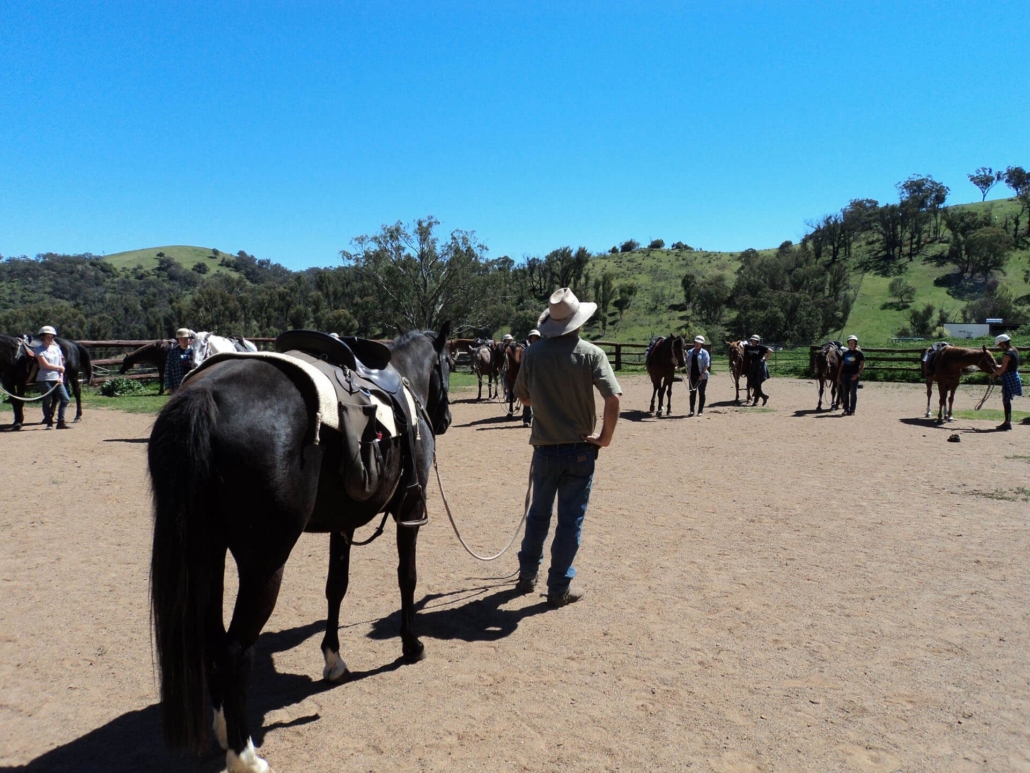 Jackaroo and Jillaroo Australia