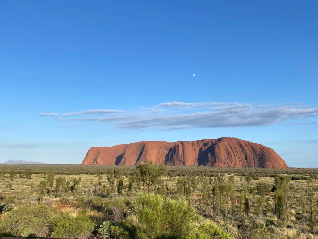 Australian Bush